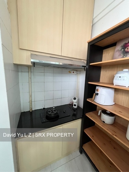 Balestier Plaza (D12), Apartment #492584221